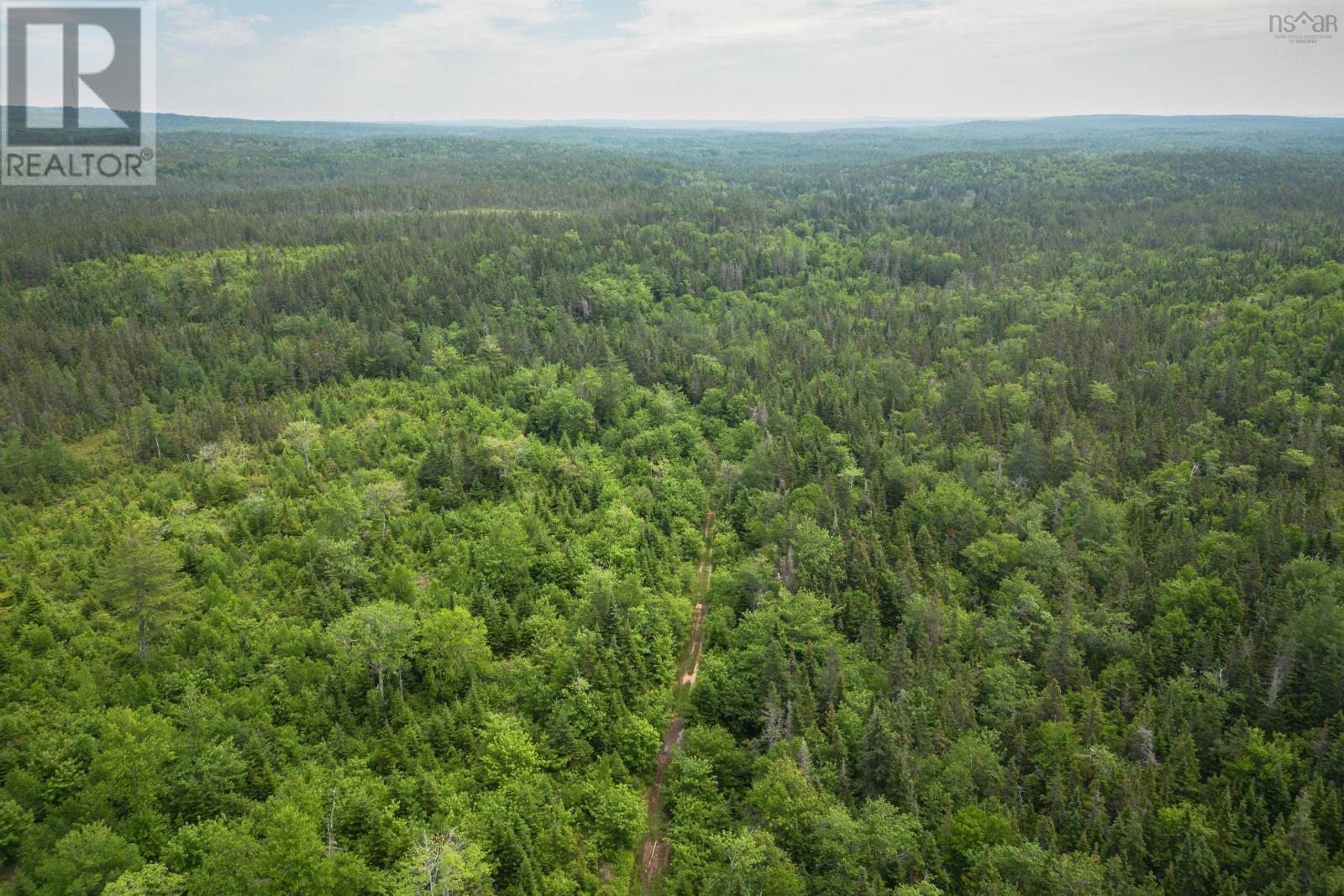 197 + / - Back Road, Thibeauville, Nova Scotia  B0E 1V0 - Photo 14 - 202511429