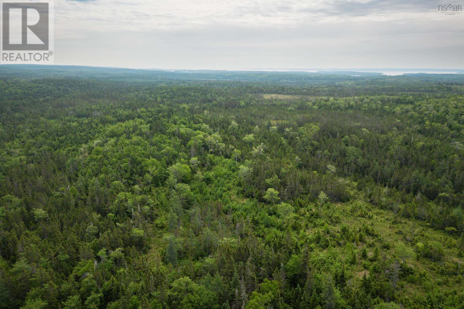197 + / - Back Road, Thibeauville, Nova Scotia  B0E 1V0 - Photo 5 - 202511429