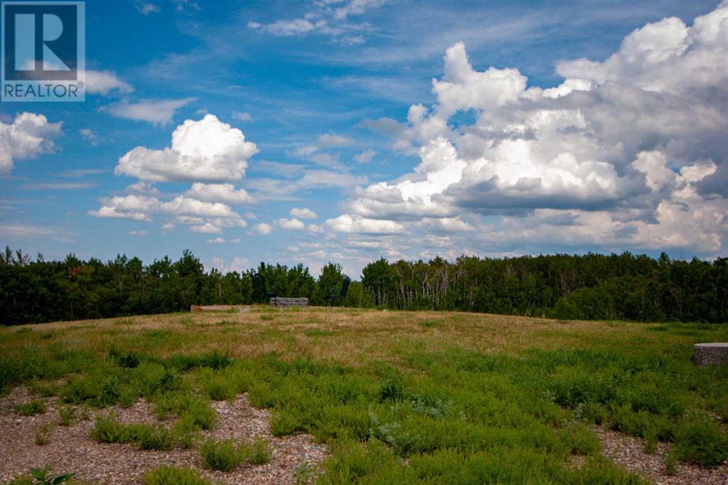 37 Buffalo Lane, Rochon Sands, Alberta  T0C 3B0 - Photo 4 - A2234189