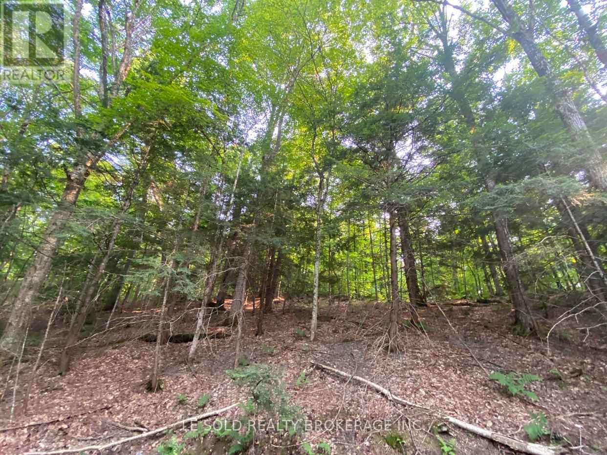 Lot # 7 - 1310 Camel Lake Road, Muskoka Lakes, Ontario  P1L 1X4 - Photo 10 - X12322244