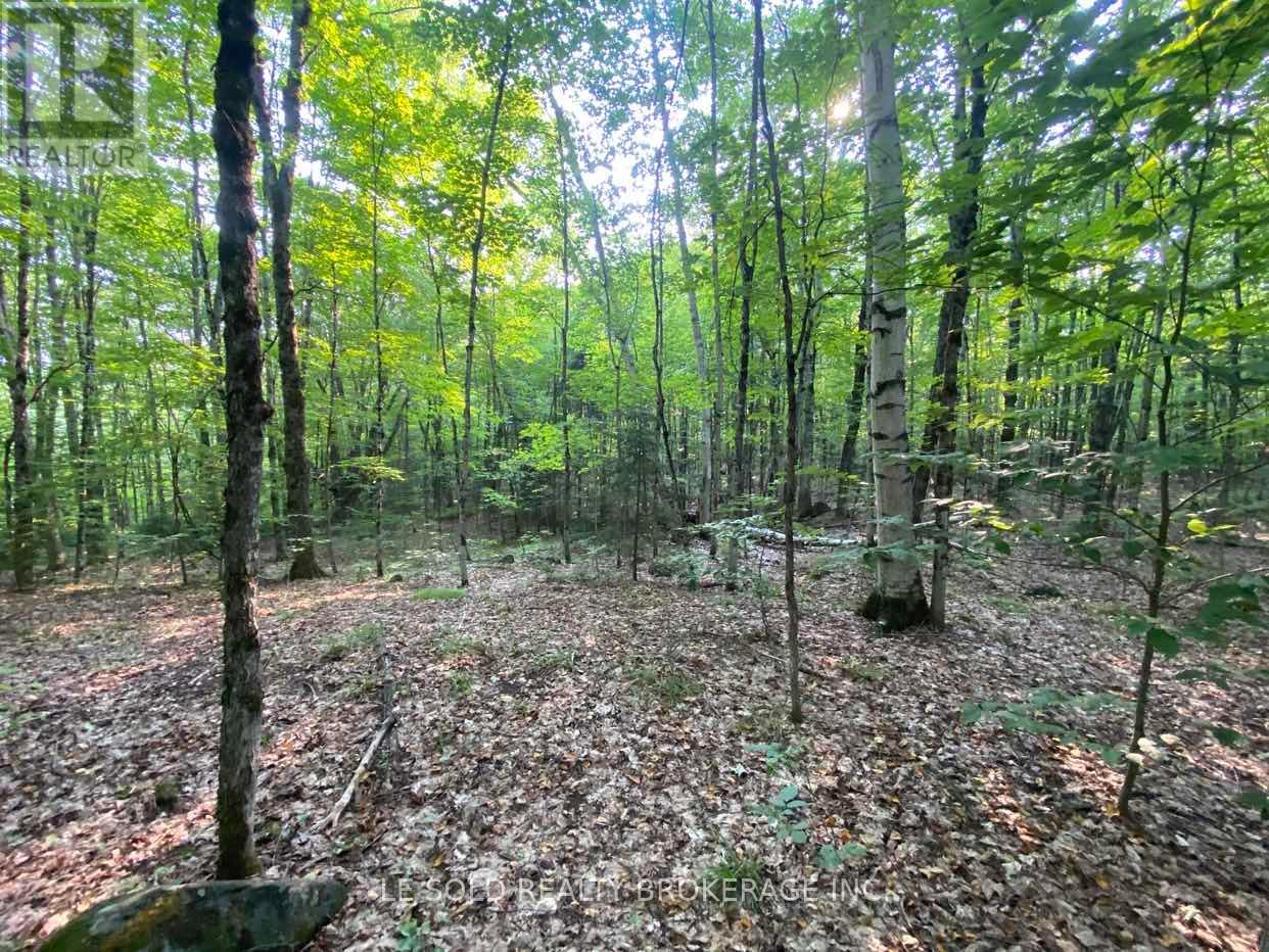 Lot # 7 - 1310 Camel Lake Road, Muskoka Lakes, Ontario  P1L 1X4 - Photo 5 - X12322244
