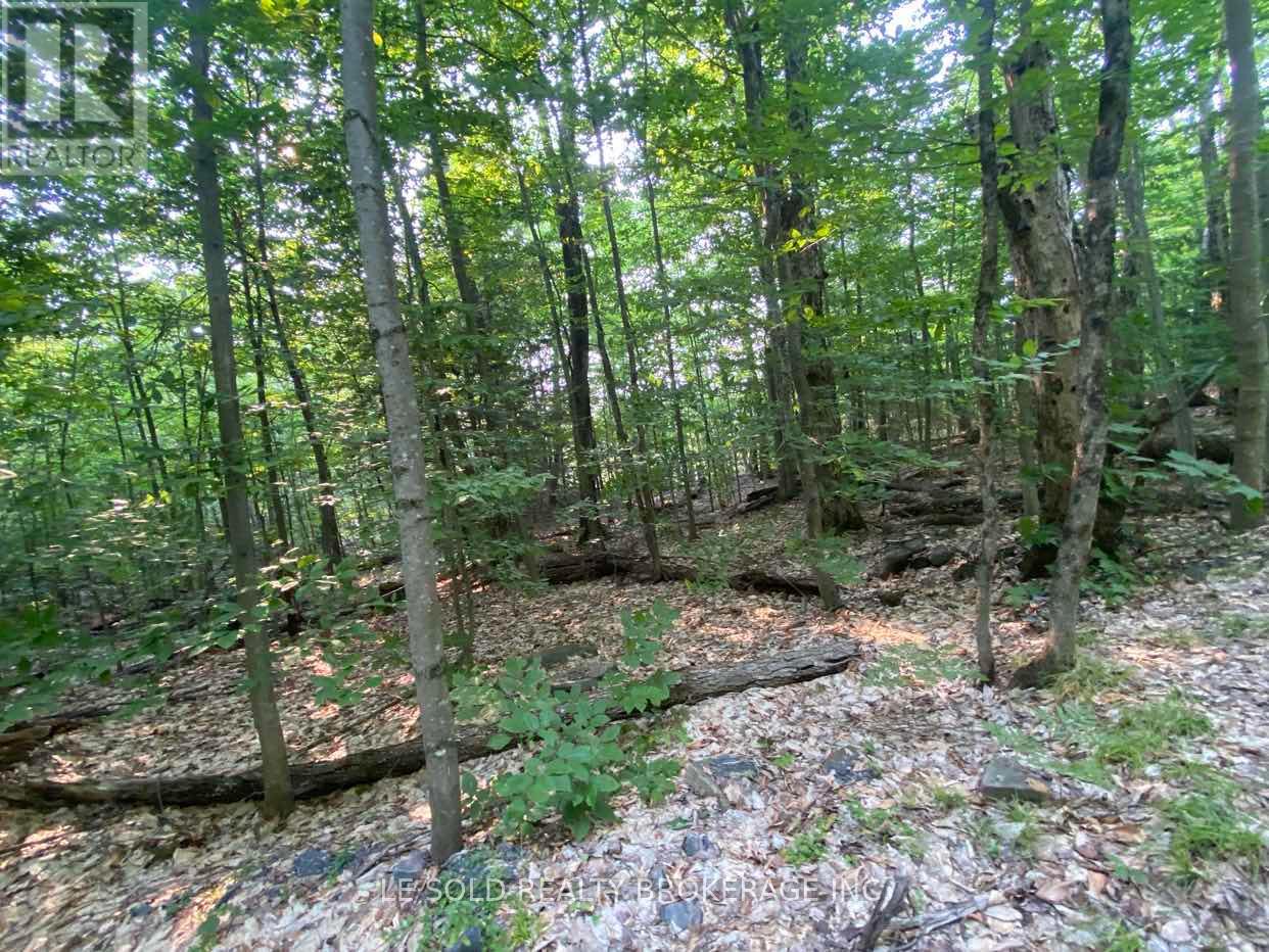 Lot # 7 - 1310 Camel Lake Road, Muskoka Lakes, Ontario  P1L 1X4 - Photo 8 - X12322244
