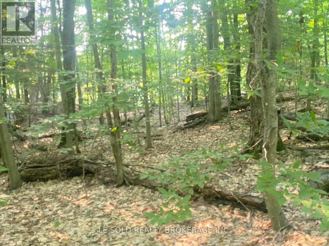 Lot # 7 - 1310 Camel Lake Road, Muskoka Lakes, Ontario  P1L 1X4 - Photo 7 - X12322244