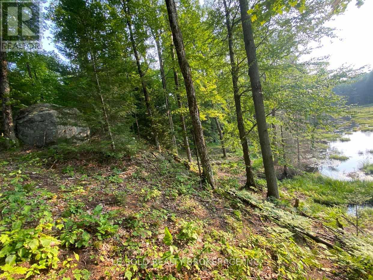 Lot # 7 - 1310 Camel Lake Road, Muskoka Lakes, Ontario  P1L 1X4 - Photo 2 - X12322244