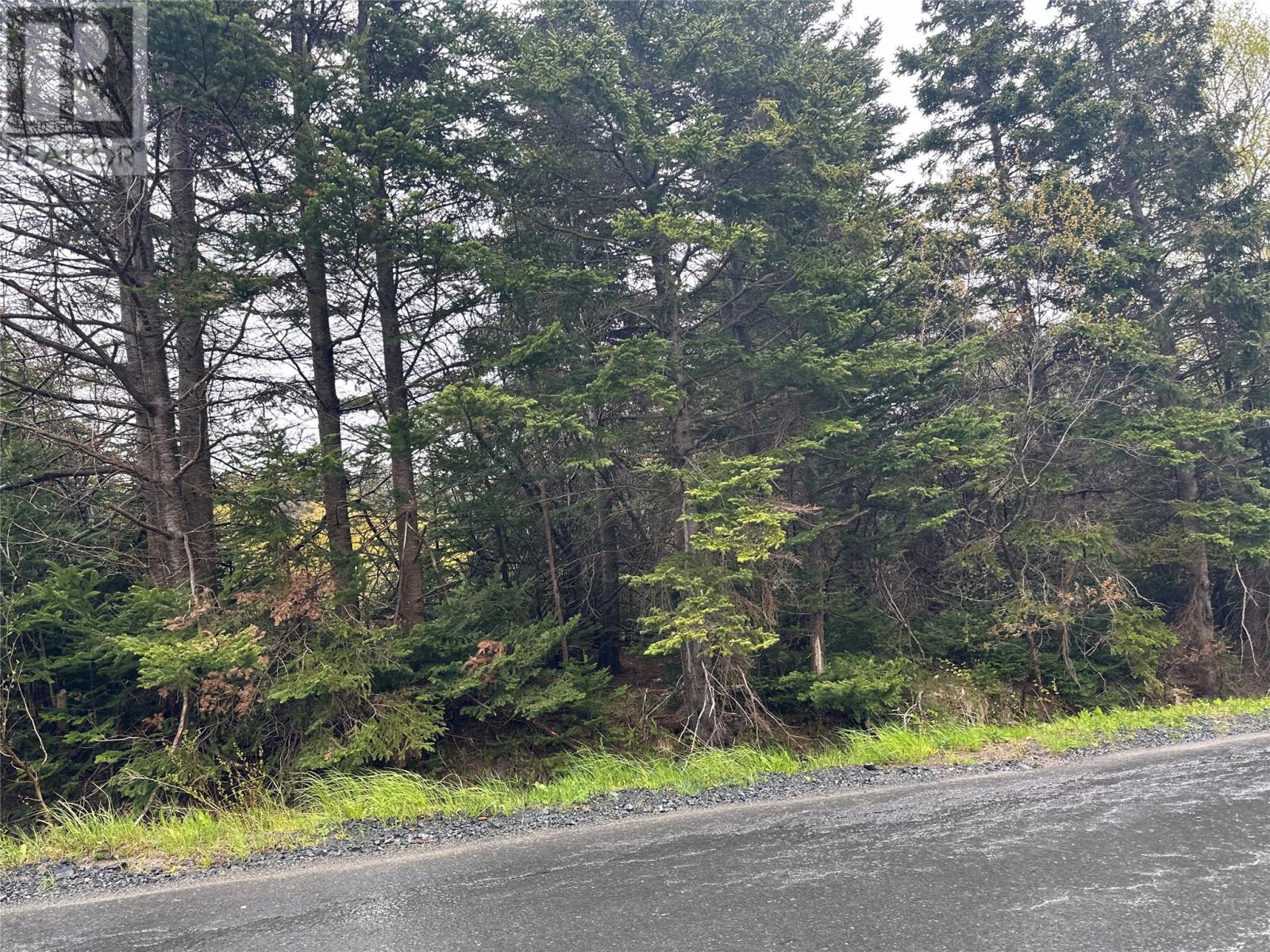 28-34 Conrans Road, Chapel's Cove, Newfoundland & Labrador   - Photo 10 - 1288701