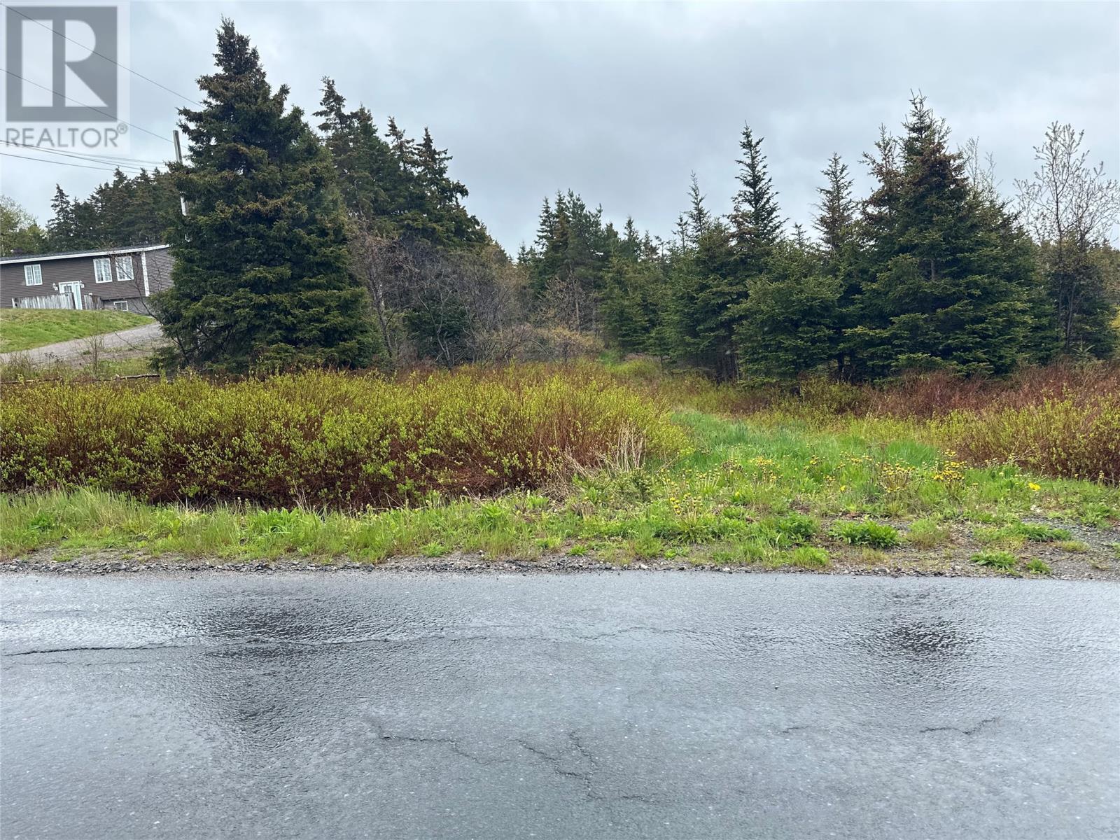 28-34 Conrans Road, Chapel's Cove, Newfoundland & Labrador   - Photo 2 - 1288701