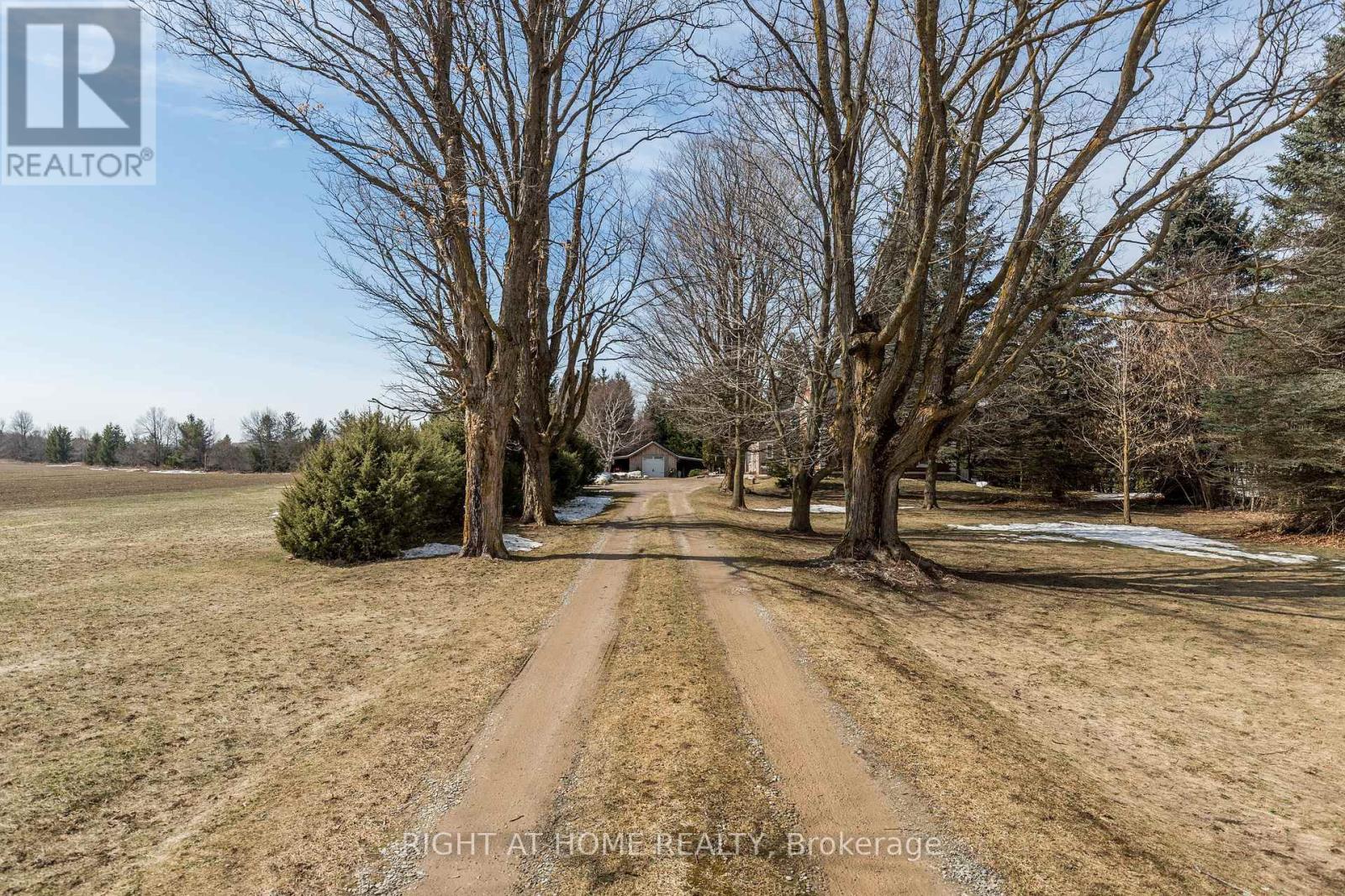 557472 Mulmur Melancthon Line, Melancthon, Ontario  L9V 1W8 - Photo 4 - X12224243