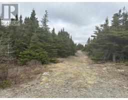 Lot # 05 Quarry Road, Burgoynes Cove, Newfoundland & Labrador