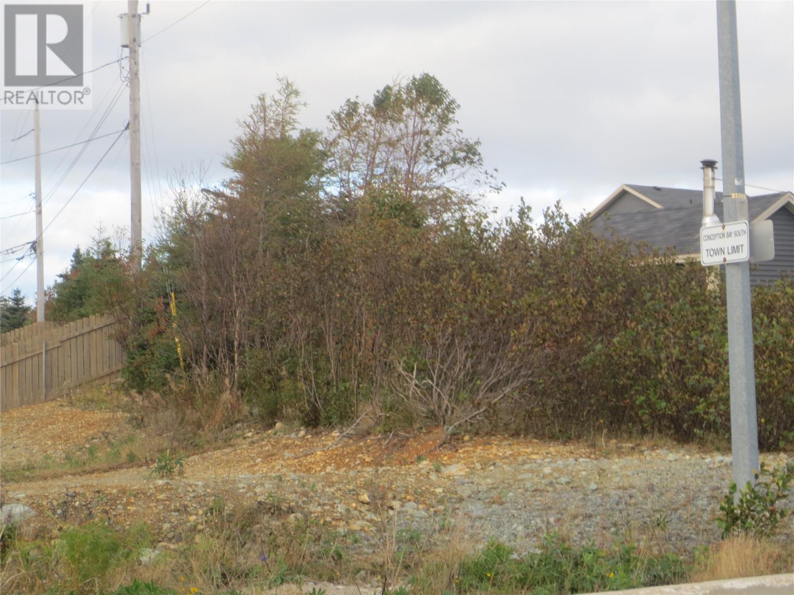 Property at 36 Haliburton Street image