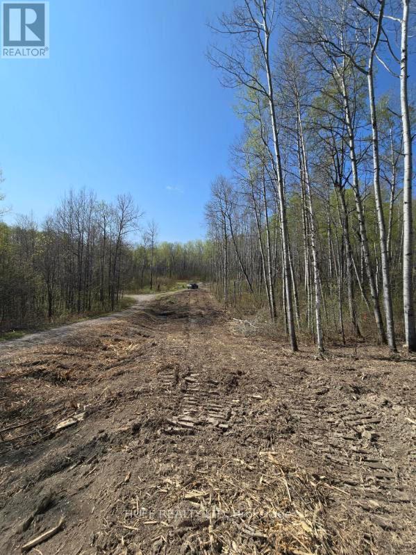 211-218 Farrah Avenue, Englehart, Ontario  P0J 1B0 - Photo 2 - T12322912