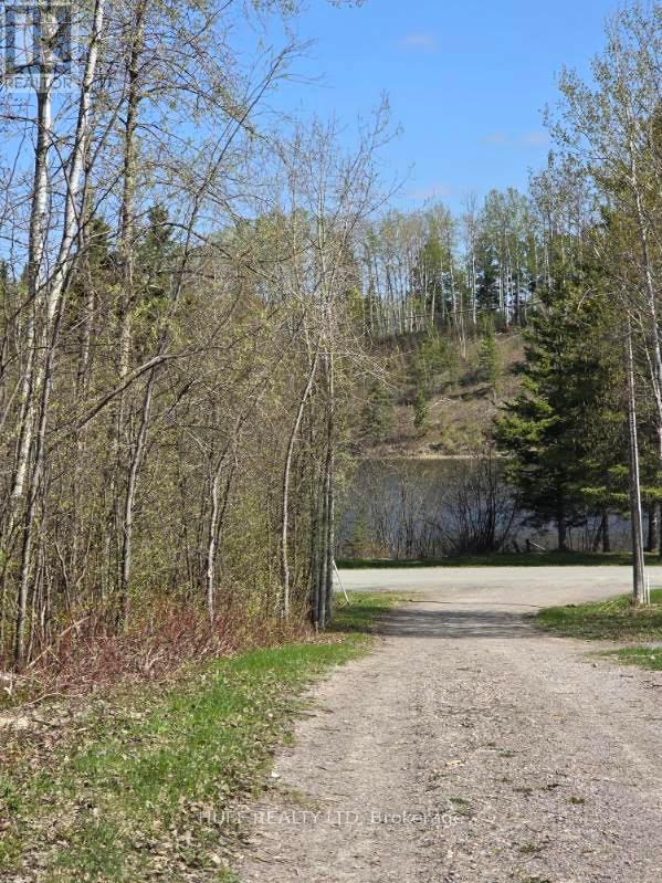 211-218 Farrah Avenue, Englehart, Ontario  P0J 1B0 - Photo 4 - T12322912
