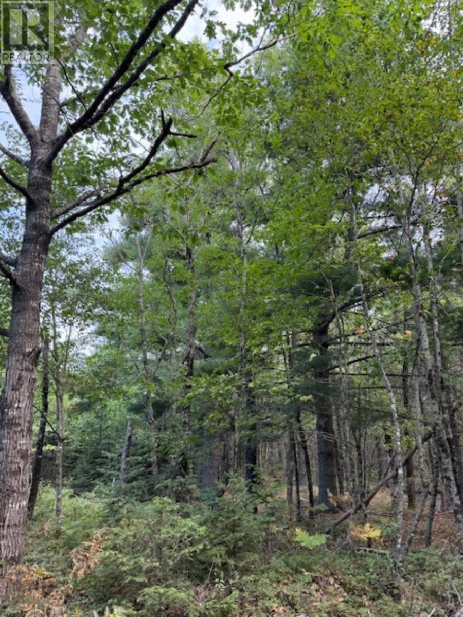Lot Morton Road, Barss Corner, Nova Scotia  B0R 1A0 - Photo 10 - 202519513
