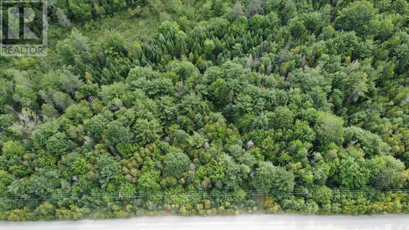 Lot Morton Road, Barss Corner, Nova Scotia  B0R 1A0 - Photo 3 - 202519513