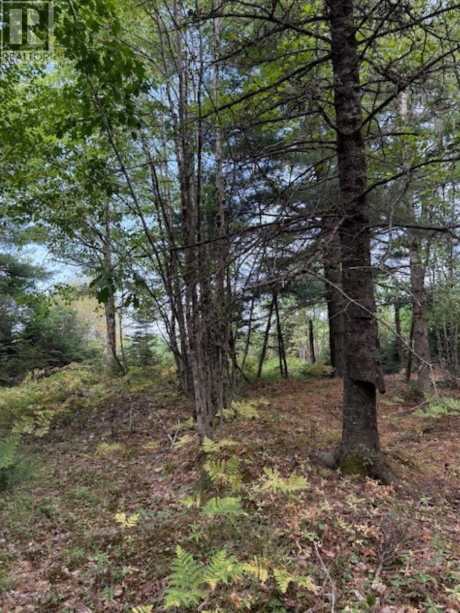 Lot Morton Road, Barss Corner, Nova Scotia  B0R 1A0 - Photo 6 - 202519513