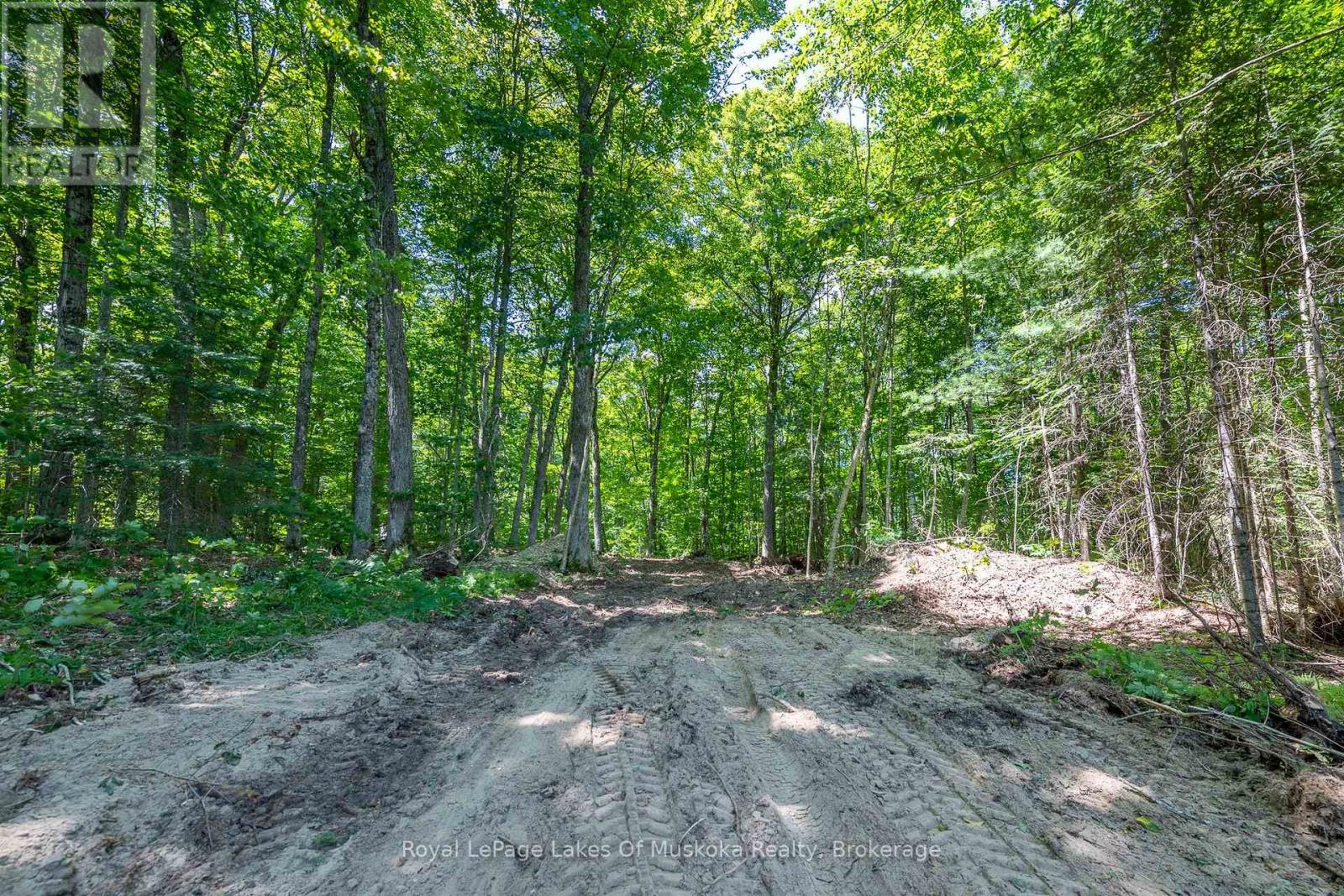 437 Otter Lake Road, Huntsville, Ontario  P1H 2J3 - Photo 4 - X12229071