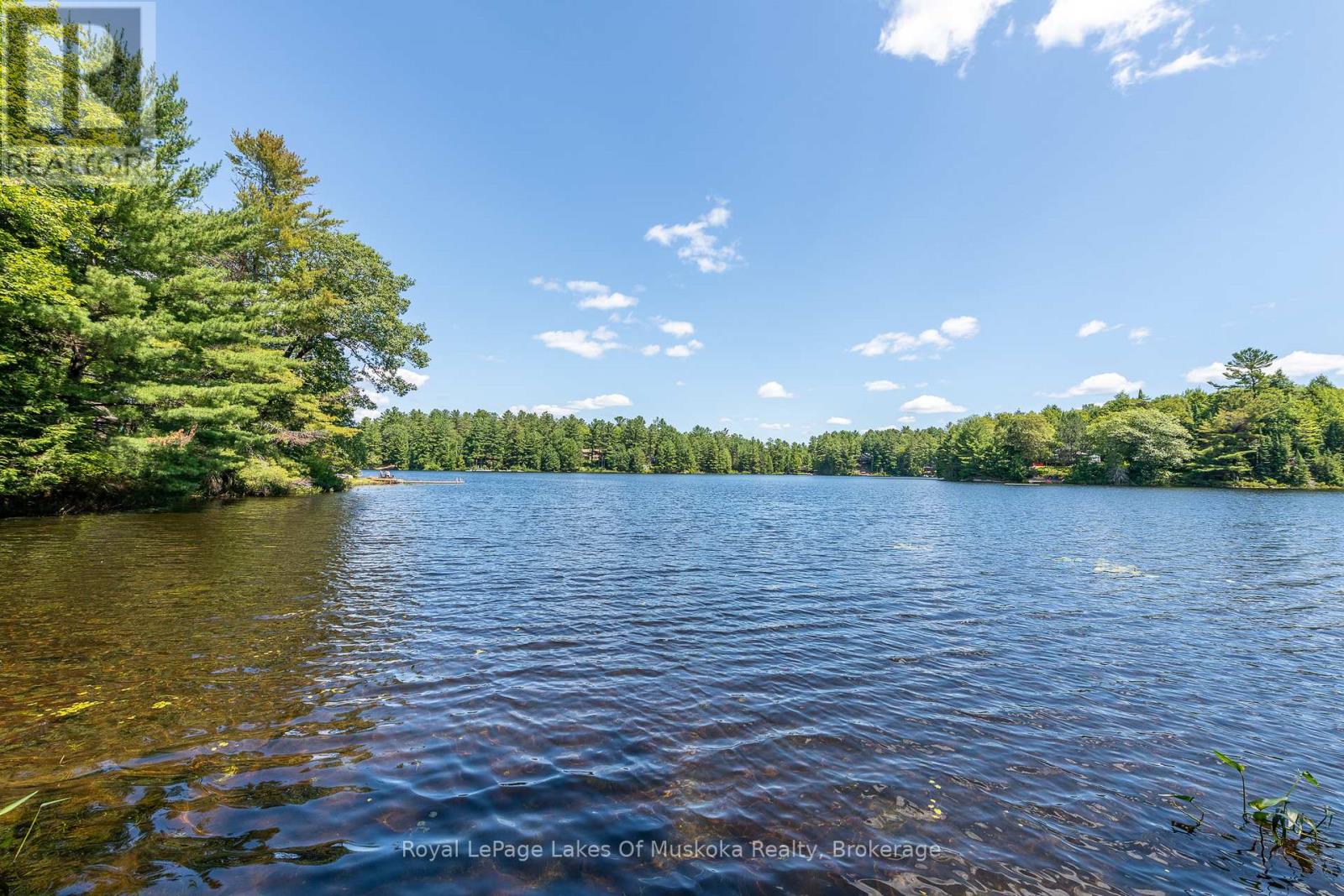 437 Otter Lake Road, Huntsville, Ontario  P1H 2J3 - Photo 2 - X12229071