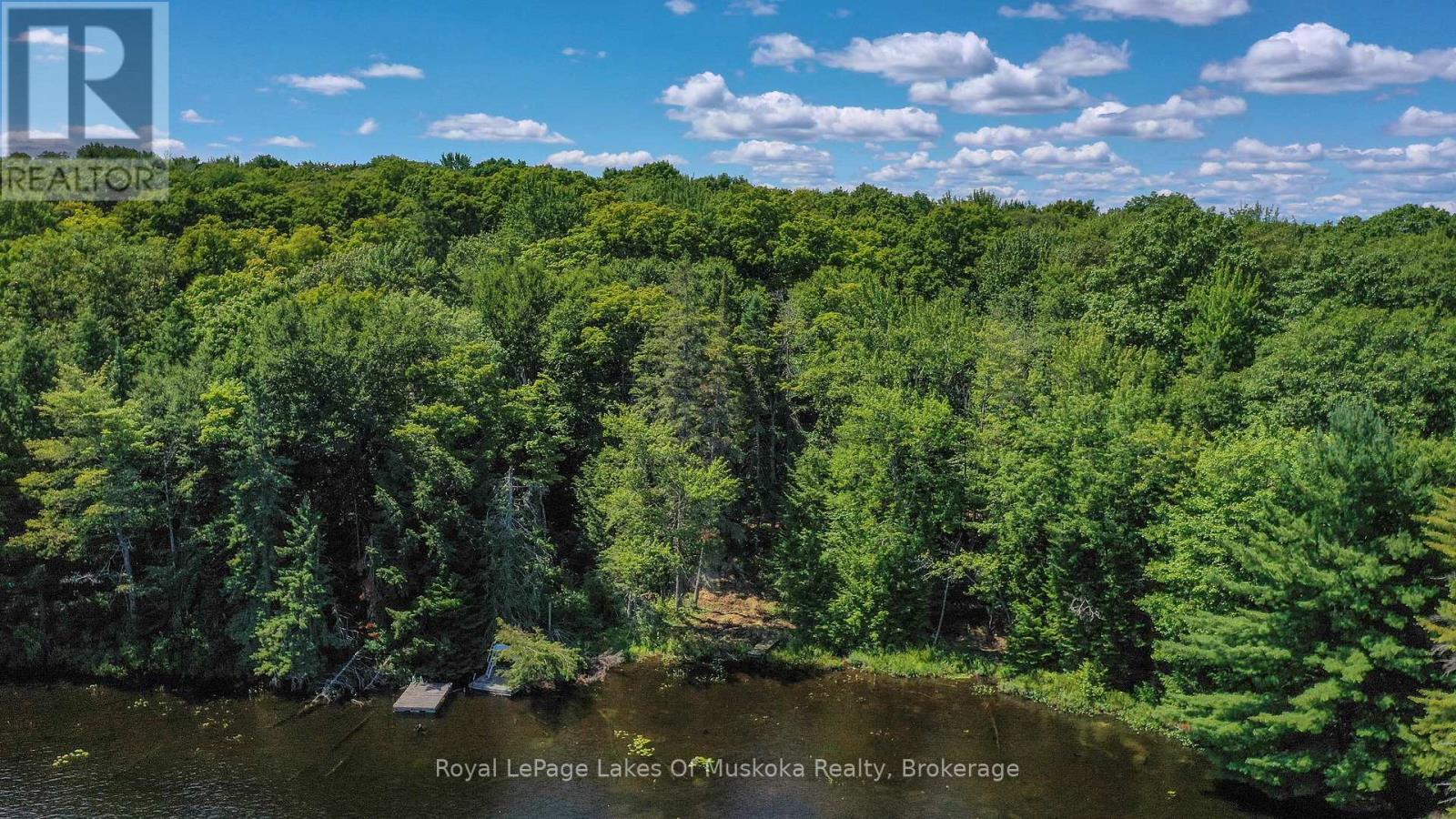 437 Otter Lake Road, Huntsville, Ontario  P1H 2J3 - Photo 9 - X12229071