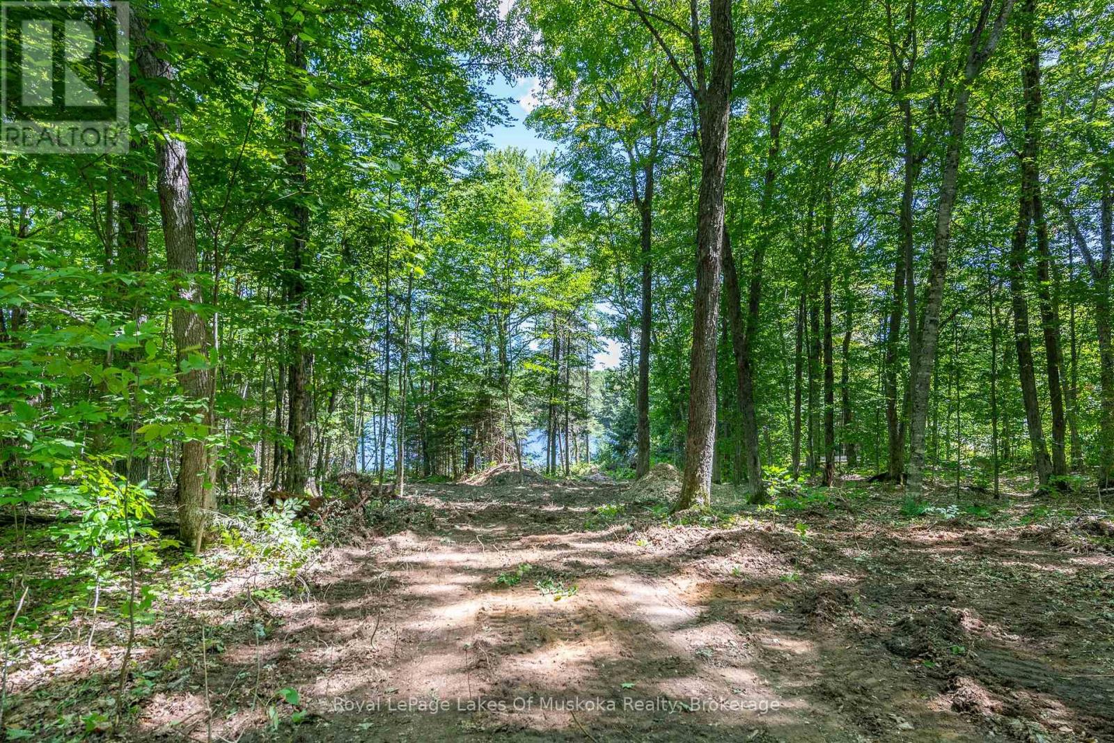 437 Otter Lake Road, Huntsville, Ontario  P1H 2J3 - Photo 6 - X12229071