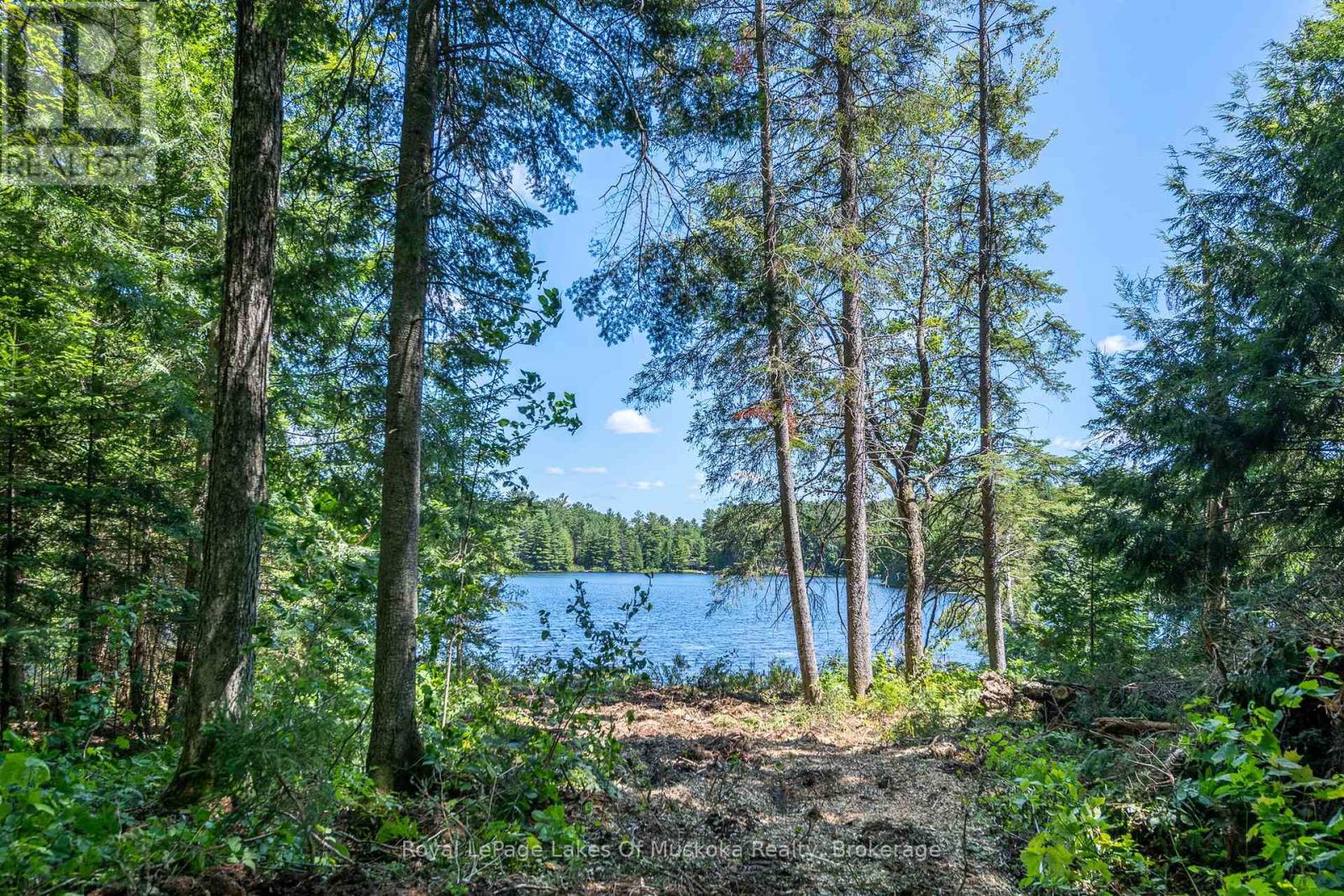 437 Otter Lake Road, Huntsville, Ontario  P1H 2J3 - Photo 5 - X12229071