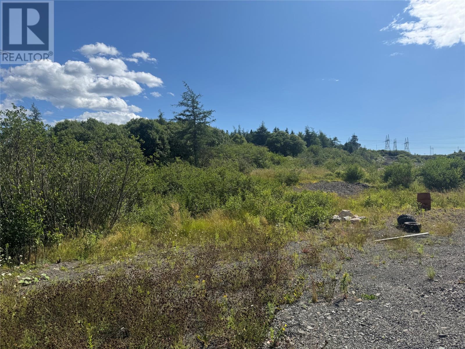 20 Main Road, Sunnyside, Newfoundland & Labrador  A0B 3J0 - Photo 7 - 1288580