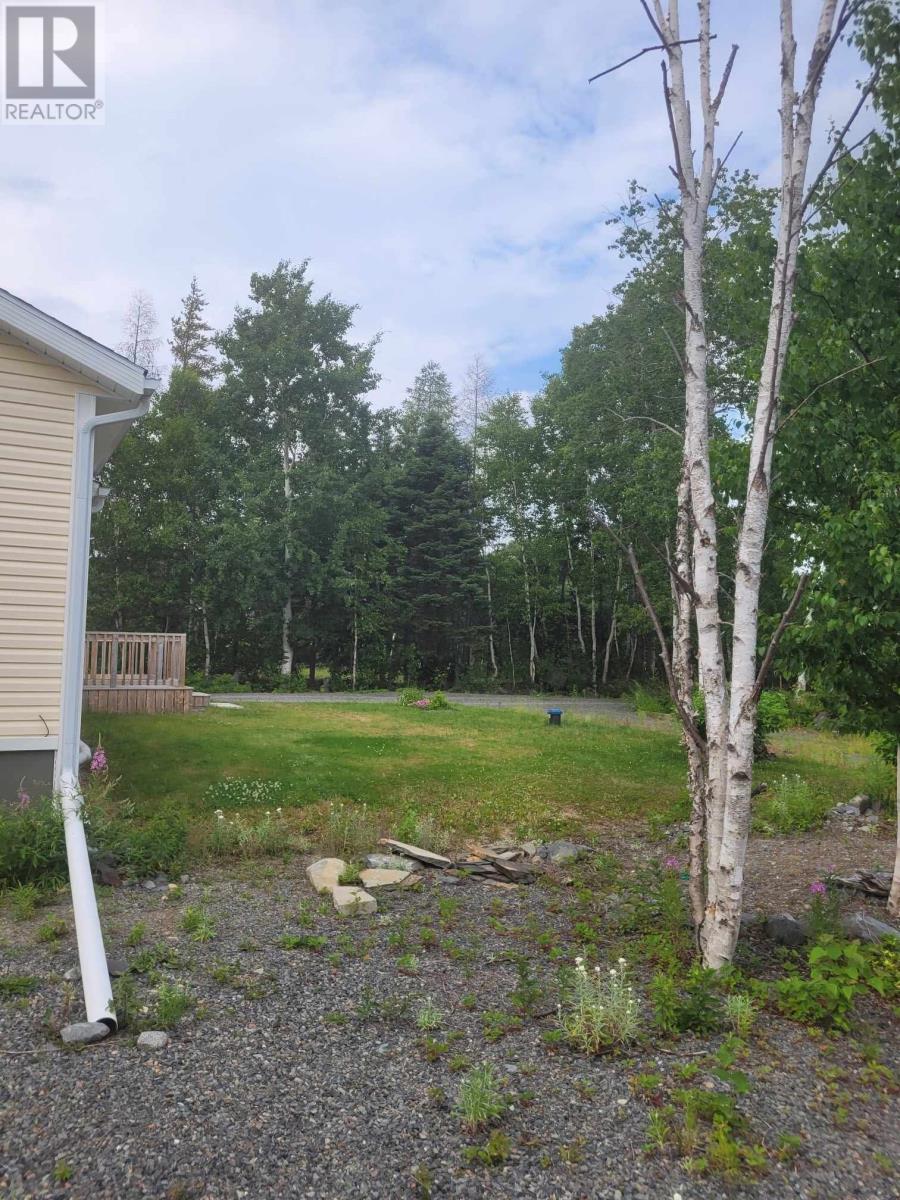 C68 Crooked Lake Road, Badger, Newfoundland & Labrador  A0H 1A0 - Photo 8 - 1288715