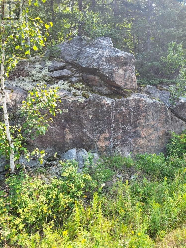 Lot 850 Hwy 539 Highway, Markstay, Ontario   - Photo 8 - 2123910
