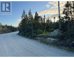 69 Whalens Pond Road, Brigus Junction, Newfoundland & Labrador