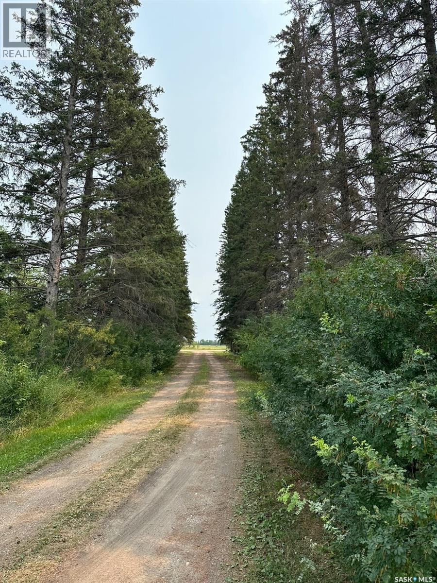 Temple K, Hudson Bay Rm No. 394, Saskatchewan  S0E 0Y0 - Photo 13 - SK014563