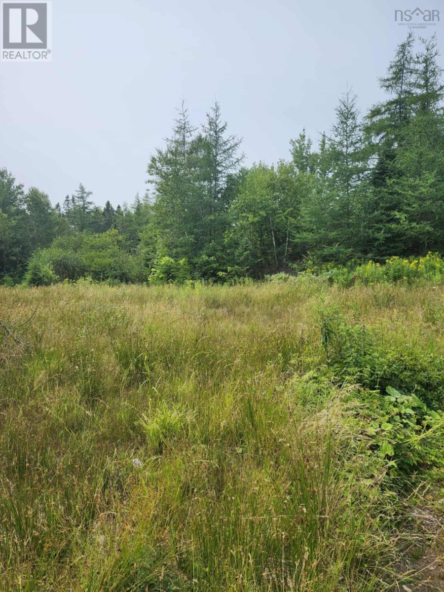 - Alder Road, Dutch Brook, Nova Scotia  B1M 1B2 - Photo 11 - 202519271
