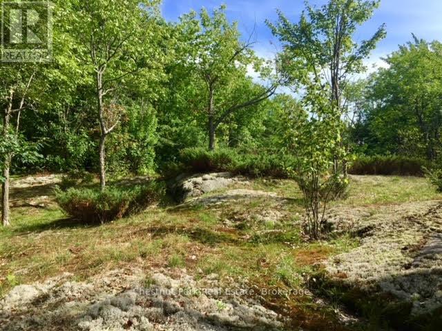 1236 Butter & Egg Road, Muskoka Lakes, Ontario  P1L 1X4 - Photo 36 - X12260460