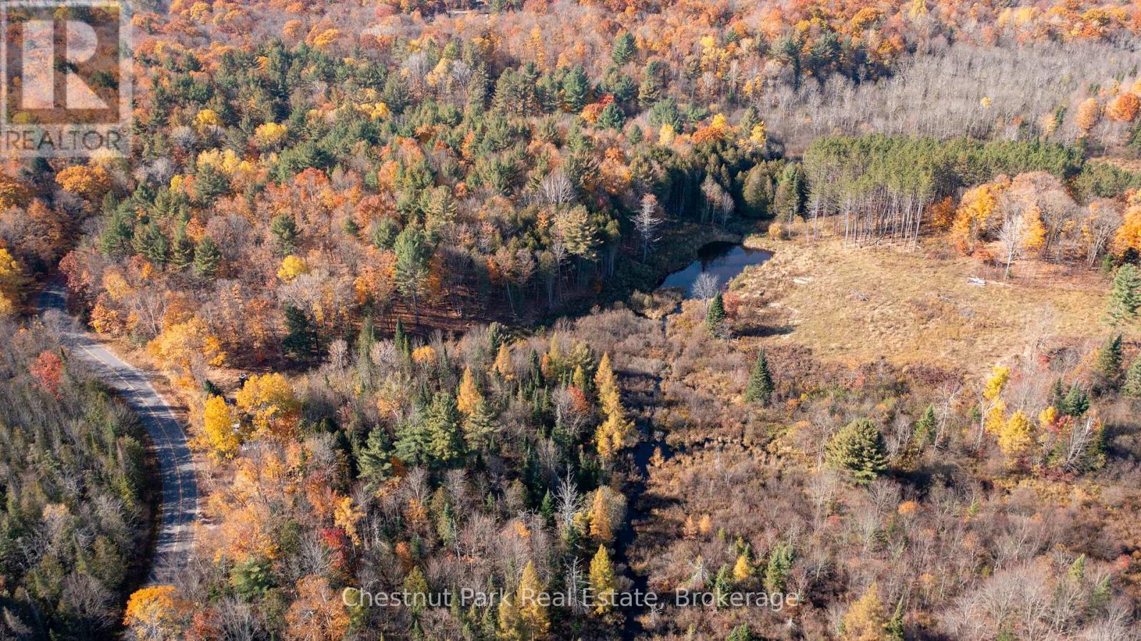 1236 Butter & Egg Road, Muskoka Lakes, Ontario  P1L 1X4 - Photo 44 - X12260460
