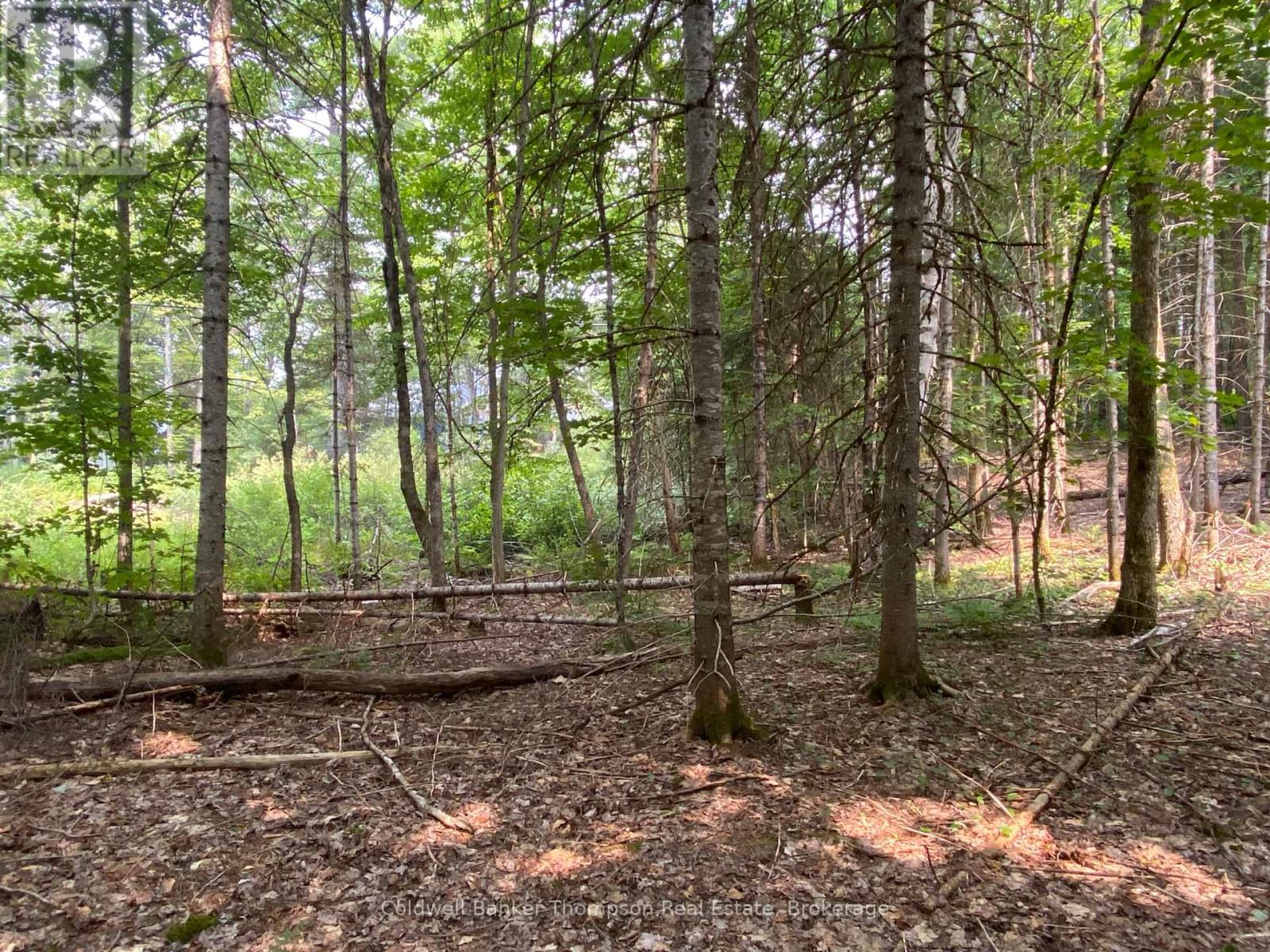 1080 Healey Lake Road, Bracebridge, Ontario  P1L 1X3 - Photo 21 - X12009665