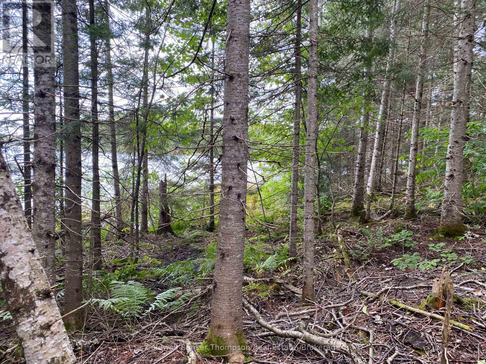 1080 Healey Lake Road, Bracebridge, Ontario  P1L 1X3 - Photo 7 - X12009665