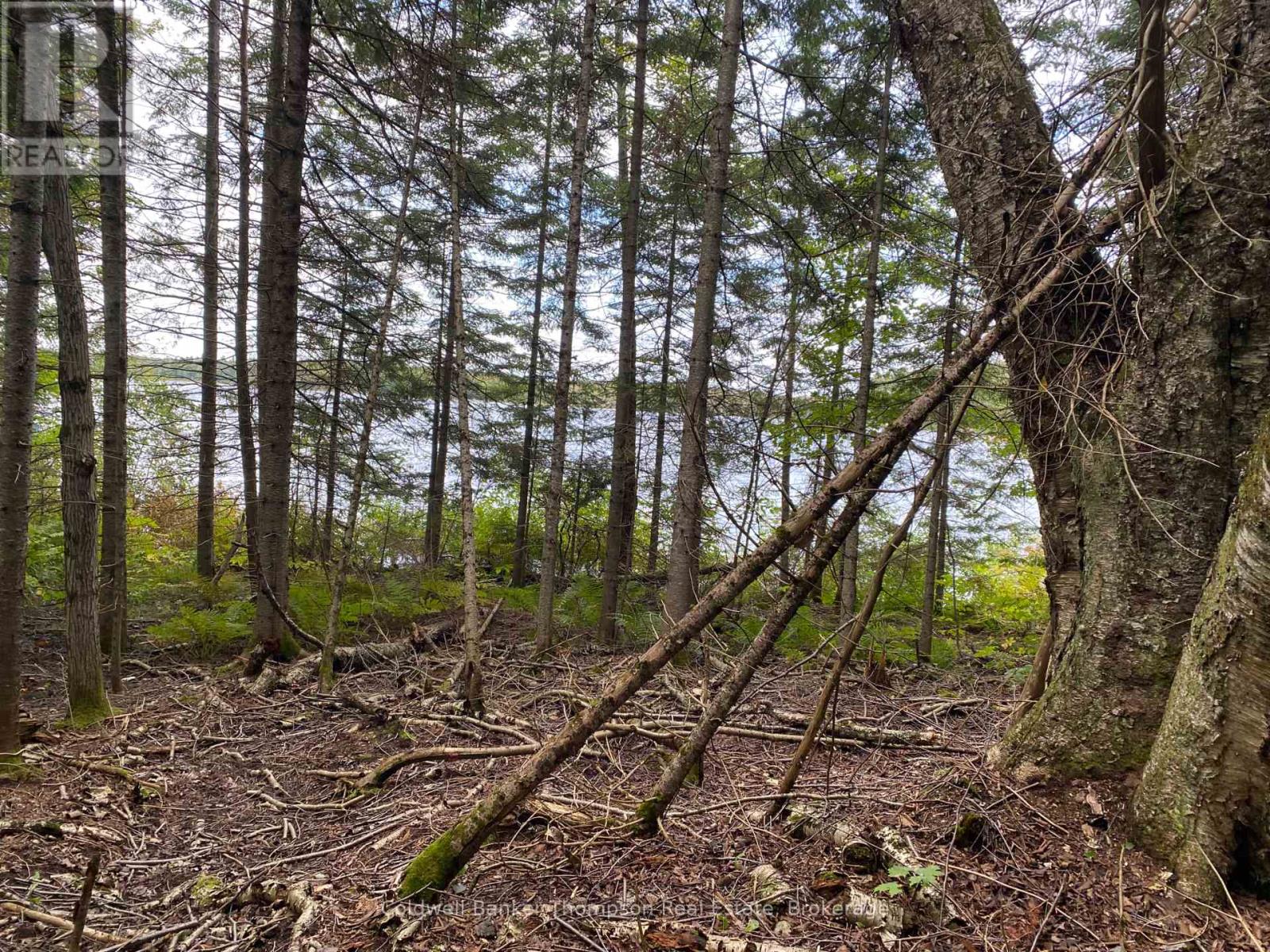 1080 Healey Lake Road, Bracebridge, Ontario  P1L 1X3 - Photo 6 - X12009665