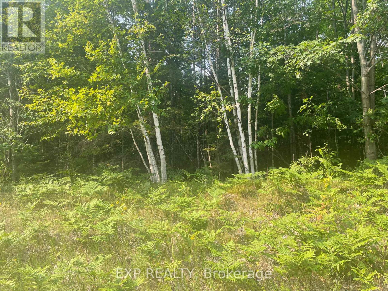 1571 SCHUTT ROAD, Brudenell, Ontario