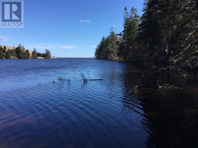 192 Mauger Rd. Road, Mauger Rd., Cap La Ronde, Nova Scotia  B0E 0B9 - Photo 7 - 202513397