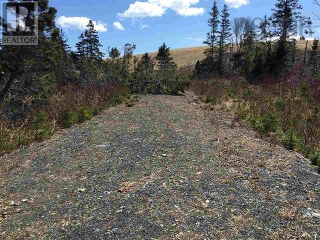 192 Mauger Rd. Road, Mauger Rd., Cap La Ronde, Nova Scotia  B0E 0B9 - Photo 11 - 202513397