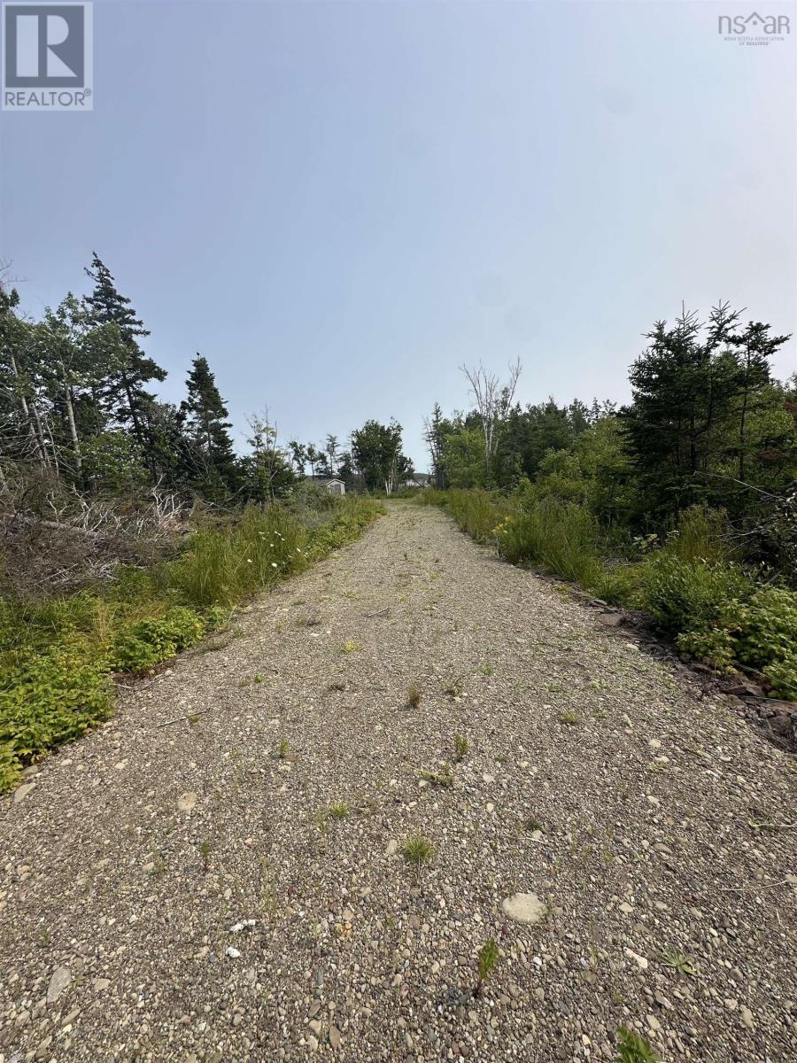 0 Highway 255, Black Brook, Nova Scotia  B1B 1T8 - Photo 8 - 202519544