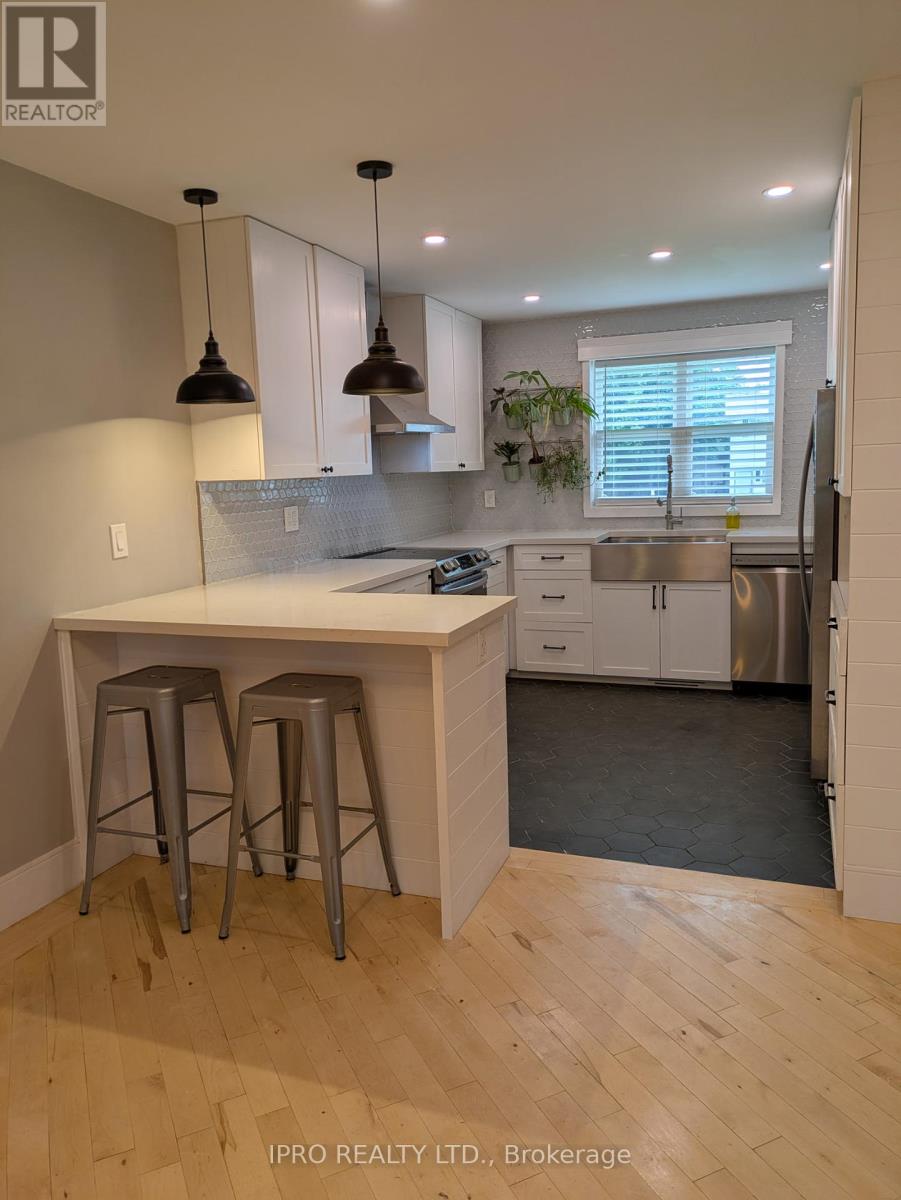 Property at 101 HOLDITCH STREET image 3