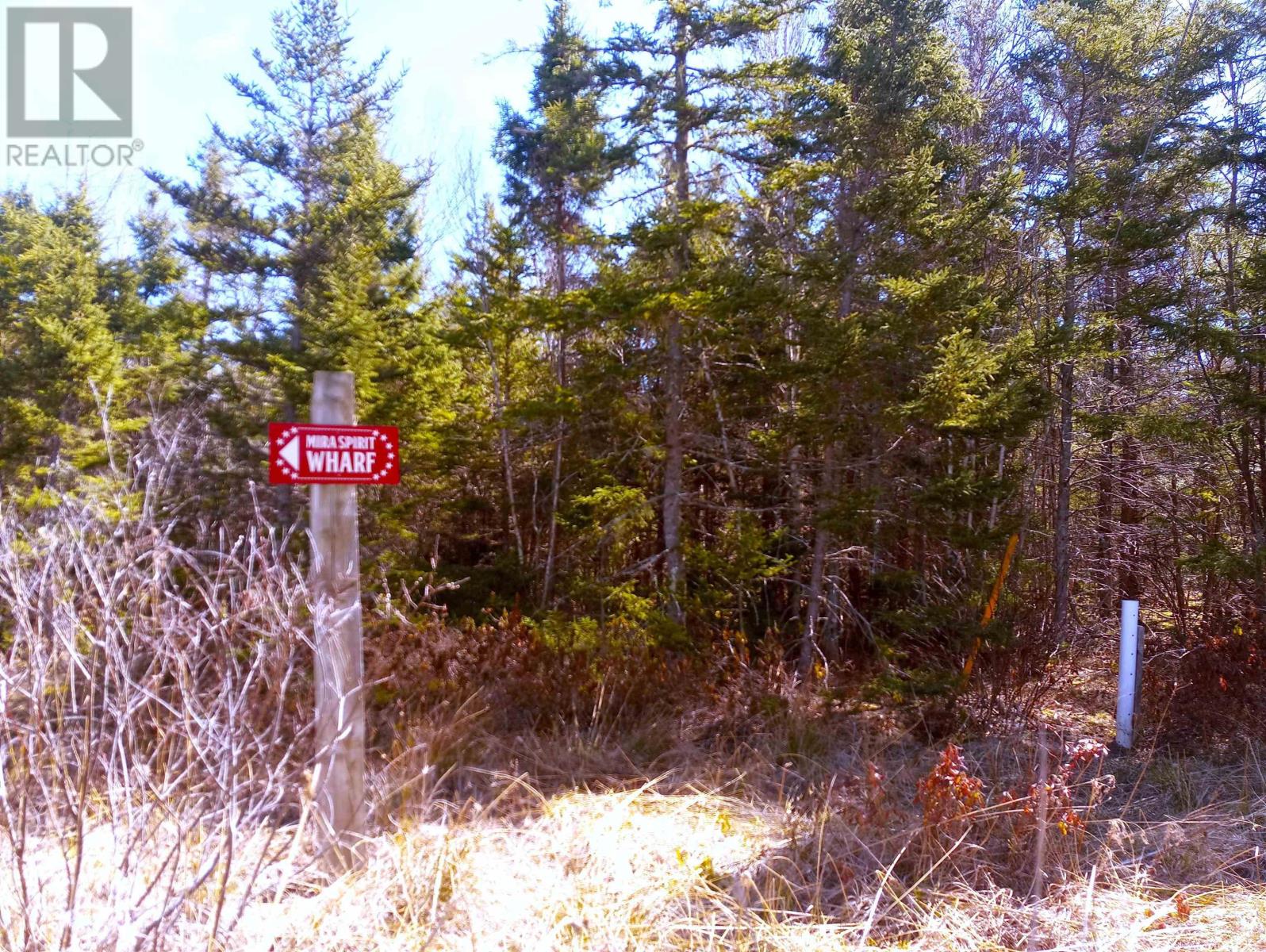 13 Johnny Cash Lane, Juniper Mountain, Nova Scotia  B1K 0C2 - Photo 12 - 202510142