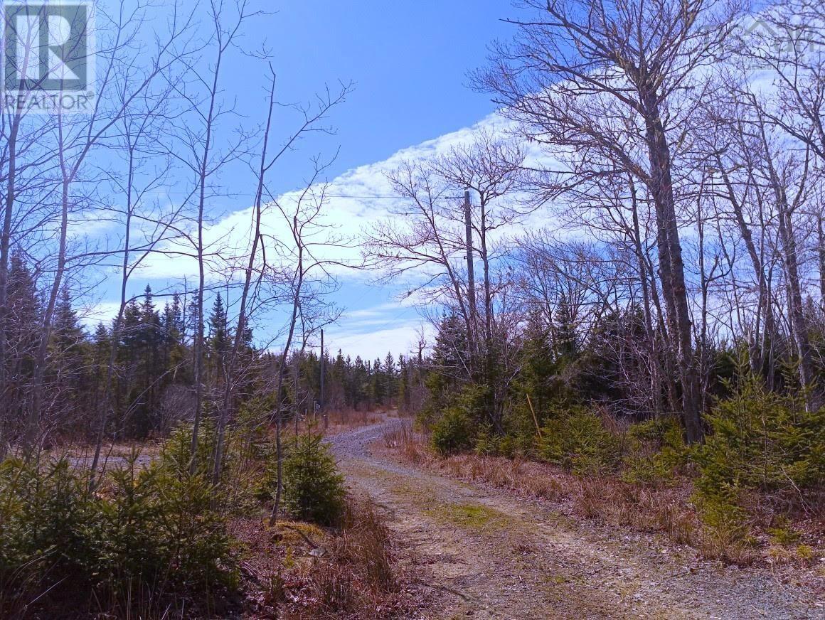 13 Johnny Cash Lane, Juniper Mountain, Nova Scotia  B1K 0C2 - Photo 19 - 202510142