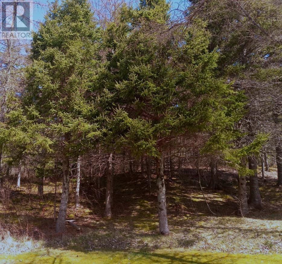 13 Johnny Cash Lane, Juniper Mountain, Nova Scotia  B1K 0C2 - Photo 25 - 202510142