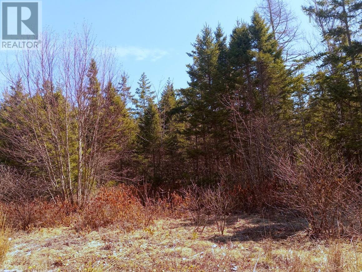 13 Johnny Cash Lane, Juniper Mountain, Nova Scotia  B1K 0C2 - Photo 32 - 202510142
