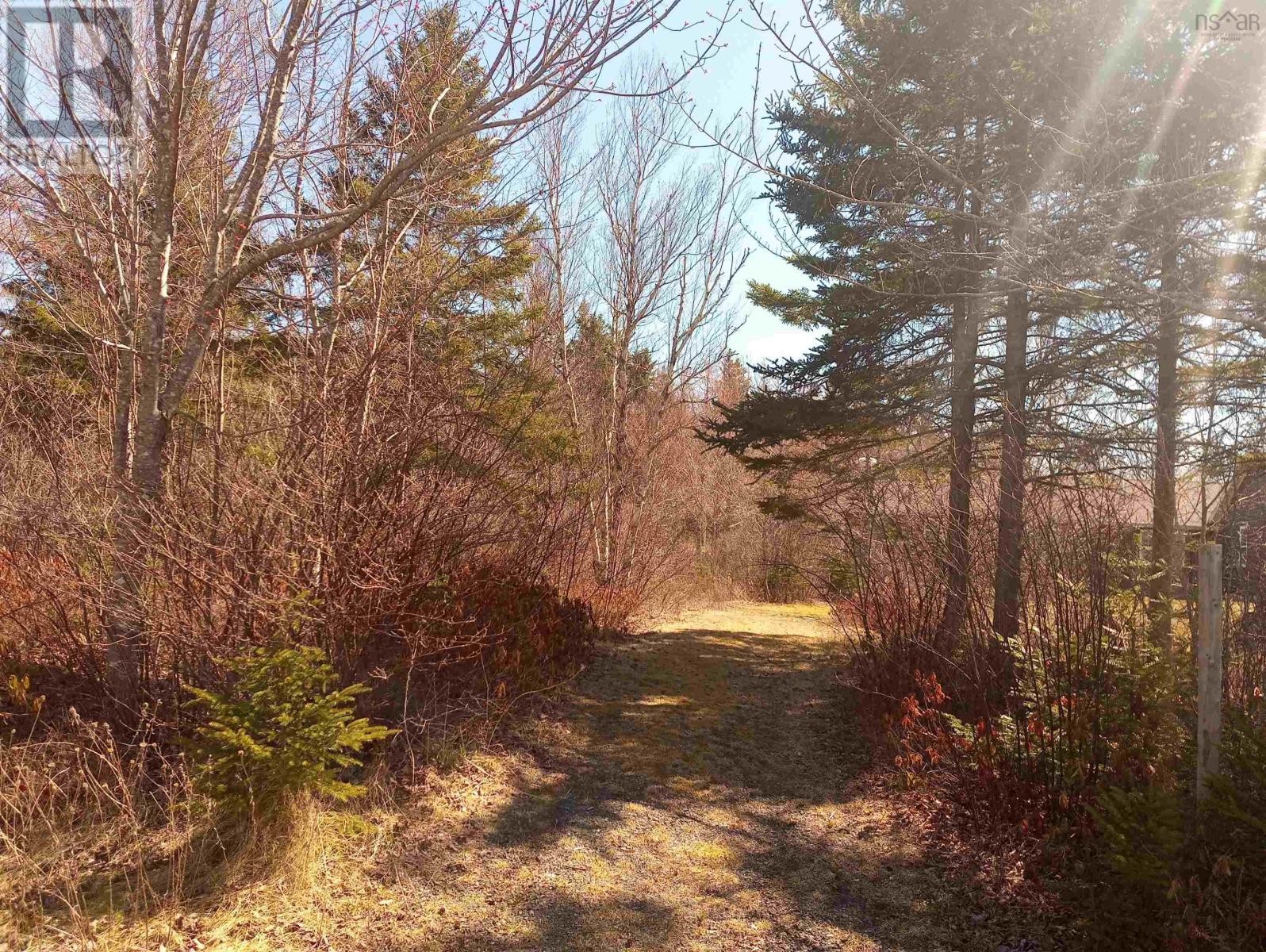 13 Johnny Cash Lane, Juniper Mountain, Nova Scotia  B1K 0C2 - Photo 30 - 202510142