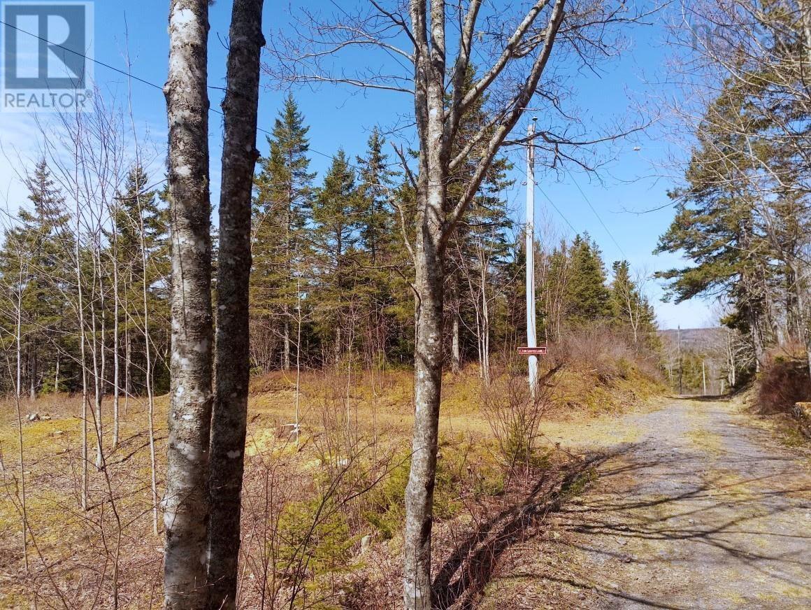 13 Johnny Cash Lane, Juniper Mountain, Nova Scotia  B1K 0C2 - Photo 31 - 202510142