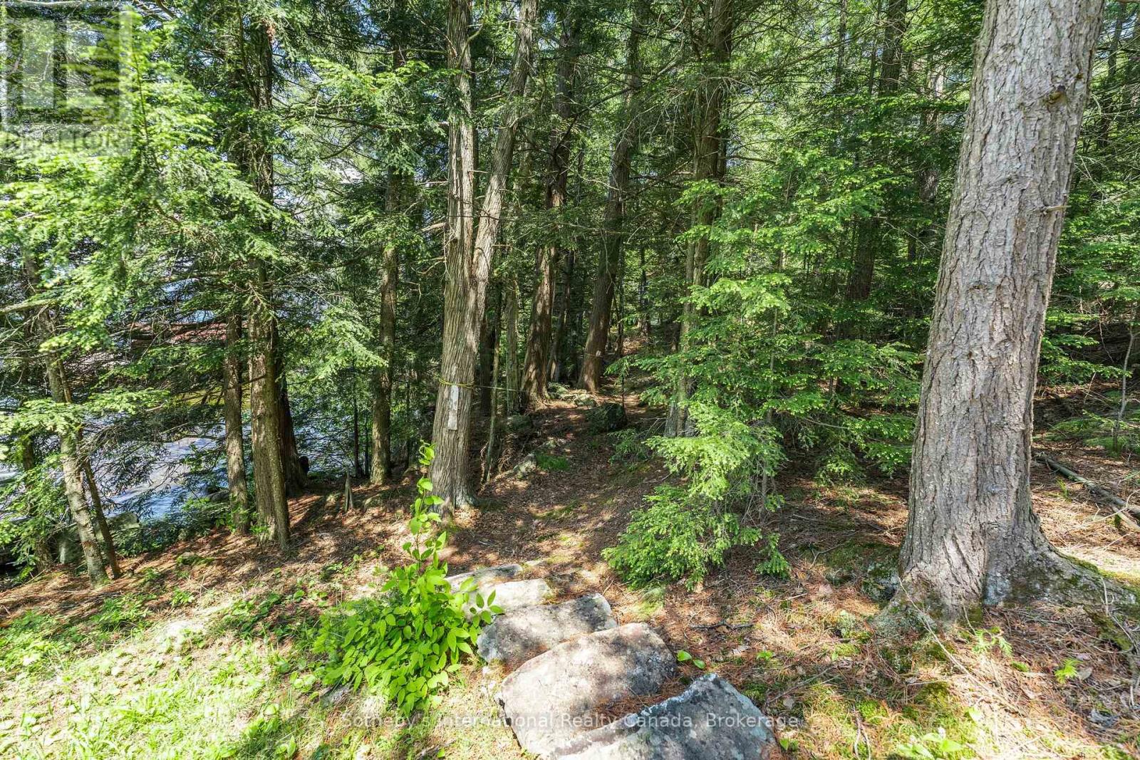 1076 Nithgrove Road, Lake Of Bays, Ontario  P0B 1A0 - Photo 27 - X12248016