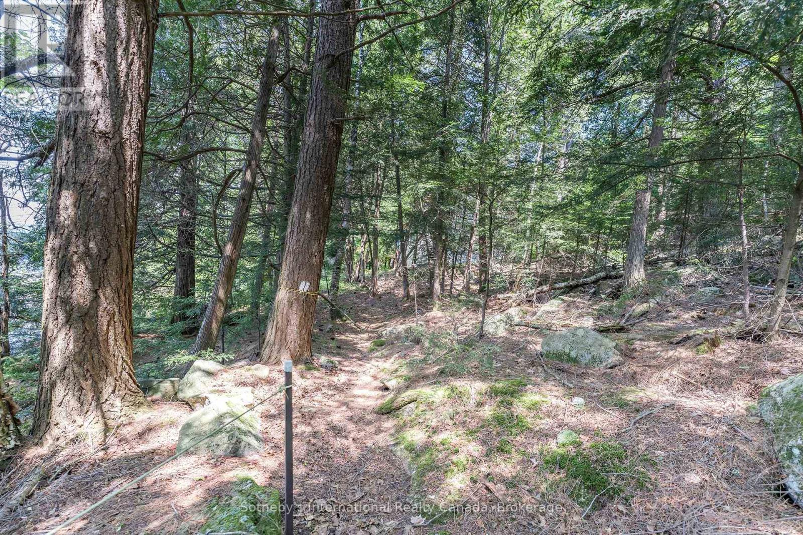 1076 Nithgrove Road, Lake Of Bays, Ontario  P0B 1A0 - Photo 28 - X12248016
