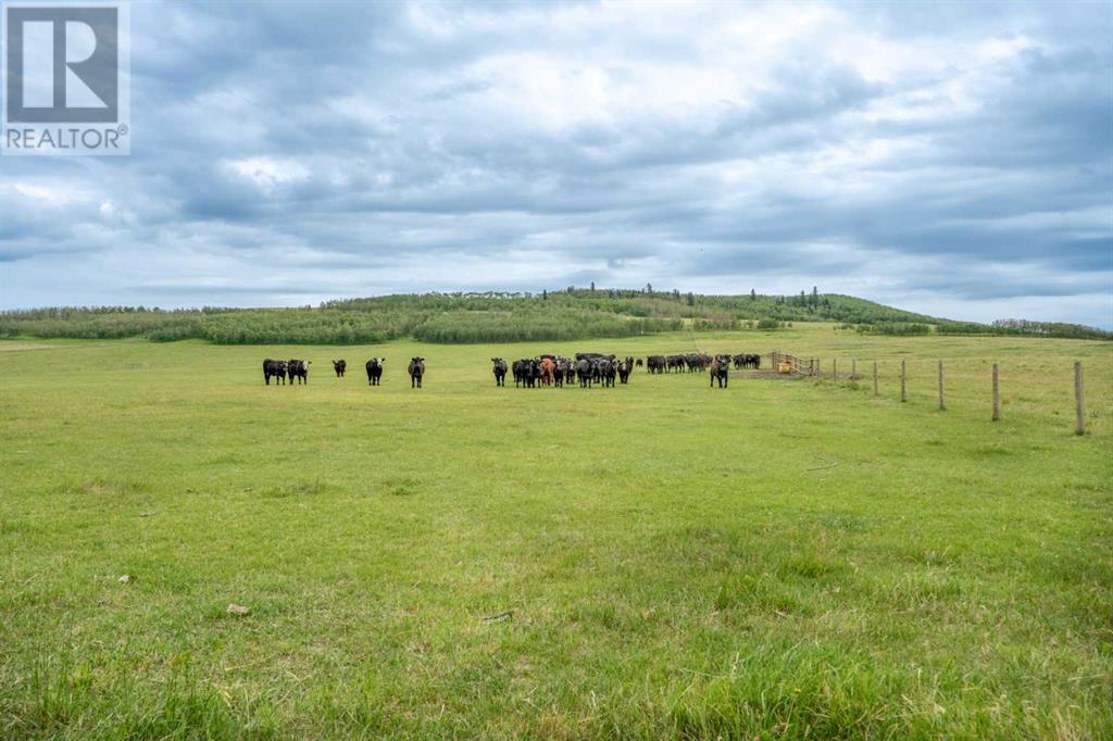 70029 7 Highway W, Rural Foothills County, Alberta  T1S 1A2 - Photo 9 - A2240295
