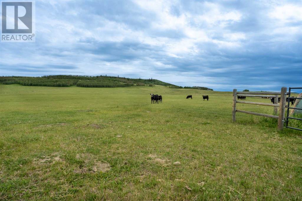 70029 7 Highway W, Rural Foothills County, Alberta  T1S 1A2 - Photo 12 - A2240295