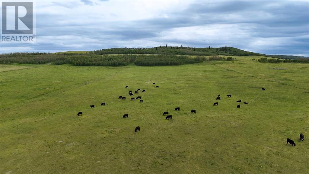 70029 7 Highway W, Rural Foothills County, Alberta  T1S 1A2 - Photo 37 - A2240295
